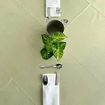Flying Hotel Pesaro
