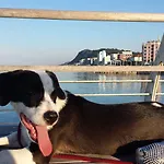 Flying 3* 佩萨罗