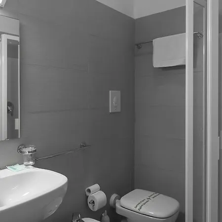 Otel Flying 3*